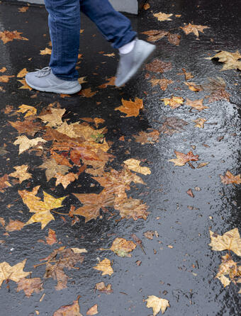 L'automne