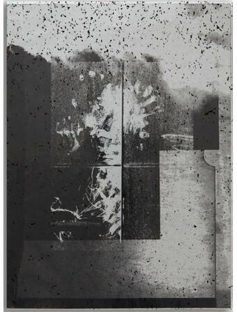 Couverture Vincent Jendly, One Millimeter of Black Dirt and a Veil of Dead Cows