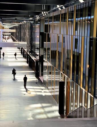 Cour de justice union européenne