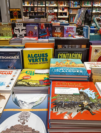 Une table de bandes dessinées à la librairie Le Divan, dans le XVe arrondissement de Paris