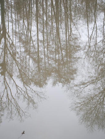 Le marche du livre nature a lheure de la La climatofatigue0.jpg