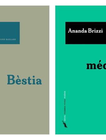 "Méduse-moi", d’Amanda Brizzi et "Bèstia" d’Irene Solà, les deux premiers recueils de la collection « Pierres vives » du Seuil