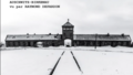 Auschwitz-Birkenau vu par Raymond Depardon