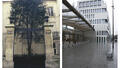 Siège des éditions le Seuil, rue Jacob et Rosa parks