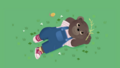 Petit Ours Brun