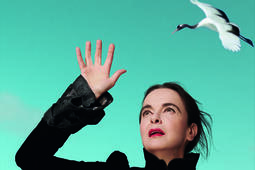 Amélie Nothomb : "Déstabiliser le lecteur, ce n'est pas mal"0.jpg