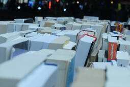 Marche du livre 2024  La croissance en pente douce1.jpg