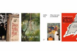 Deux filles nues de Luz (Albin Michel), Le Dieu des bois de Liz Moore (Buchet-Chastel), Mon vrai nom est Elisabeth de Adèle Yon (Éditions du Sous-Sol) et L’Affaire de la rue Transnonain de Jérôme Chantreau (La Tribu)