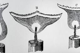 Comment reussir lanniversaire de sa maison dedition 0.jpg