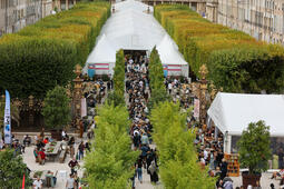 Le livre sur la place 2025