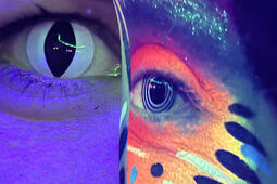 Sur les tables dimaginaire en septembre0.jpg