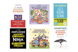 Les 6 premiers du classement des meilleures ventes du rayon Pratique en 2025