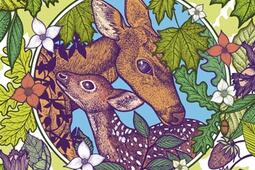 Bambi  la veritable histoire_Delachaux et Niestle jeunesse_9782603030455.jpg