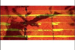 Camus et Seferis  une affaire de lumiere_La tete a lenvers_9791092858662.jpg