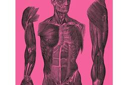 Creatine_Gallimard_9782073026583.jpg