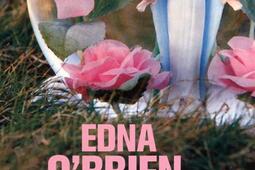 Crepuscule irlandais_1018_9782264054081.jpg