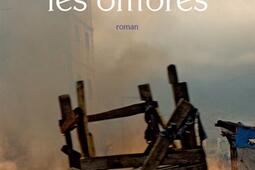 Danser les ombres_Actes Sud_9782330039714.jpg