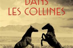 De l'or dans les collines.jpg