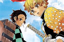 Demon slayer : Kimetsu no yaiba. Vol. 3.jpg