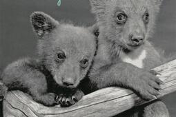 Deux petits ours_MeMo.jpg