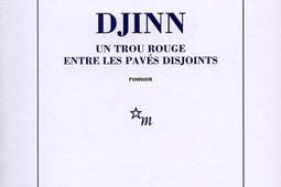 Djinn : un trou rouge entre les pavés disjoints.jpg