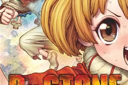 Dr Stone. Vol. 22. Our stone world.jpg