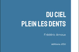 Du ciel plein les dents_Editions Jou_9782492628061.jpg