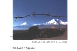 Géopolitique de l'Arménie.jpg