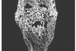 Huma Bhabha  une mouche est apparue et disparut Huma Bhabha  a fly appeared and disappeared_Snoeck Publishers_MOCO.jpg