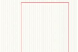 Jim Crow  le terrorisme de caste en Amerique_Raisons dagir editions_9791097084387.jpg