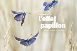 L'effet papillon.jpg