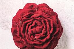 La délicate pâtisserie : 60 recettes pour une pédagogie en douceur.jpg