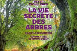 La vie secrete des arbres  ce quils ressentent comment ils communiquent  texte integral_Audiolib_9782367625492.jpg