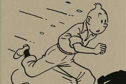 Lart dHerge  Herge et lart_Gallimard_Moulinsart_9782070149544.jpg