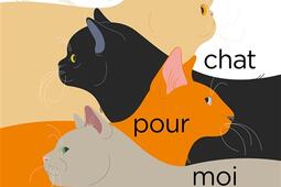 Le chat pour moi_Sarbacane_9791040805182.jpg