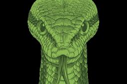 Le grand livre des animaux Vol 2 Python_Pocket_9782266356619.jpg