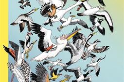 Le grand voyage des oiseaux_Joie de lire_9782889086788.jpg