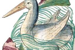 Le livre de la nature.jpg