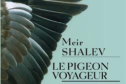 Le pigeon voyageur.jpg