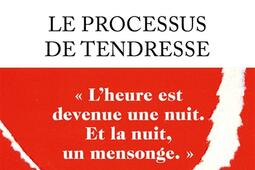 Le processus de tendresse_Plon_9782259319782.jpg