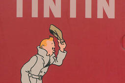 Les aventures de Tintin_Casterman_9782203083059.jpg