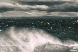 Les vagues_Gallimard_9782070441686.jpg