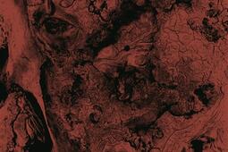 Lisieres_Petrole editions_9791093041087.jpg