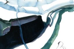 Marche dans la nuit.jpg