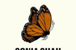 Migrations : grandeur et misère de la vie en mouvement.jpg