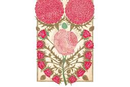 Muhammad  nouvelle biographie_Albin Michel_9782226489227.jpg