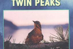 Mysteres a Twin Peaks_Grund_9782324037351.jpg
