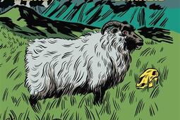 Nous n'allons pas nous réveiller.jpg