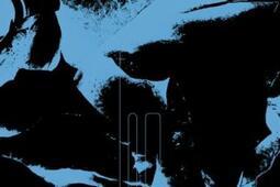 Pardela etrange et familier  le bizarre et lo_Sans soleil _9782957950058.jpg