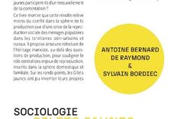 Sociologie des gilets jaunes  reproduction et lut_le Bord de leau_9782385190644.jpg